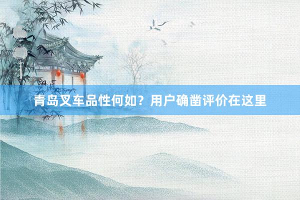 青岛叉车品性何如？用户确凿评价在这里